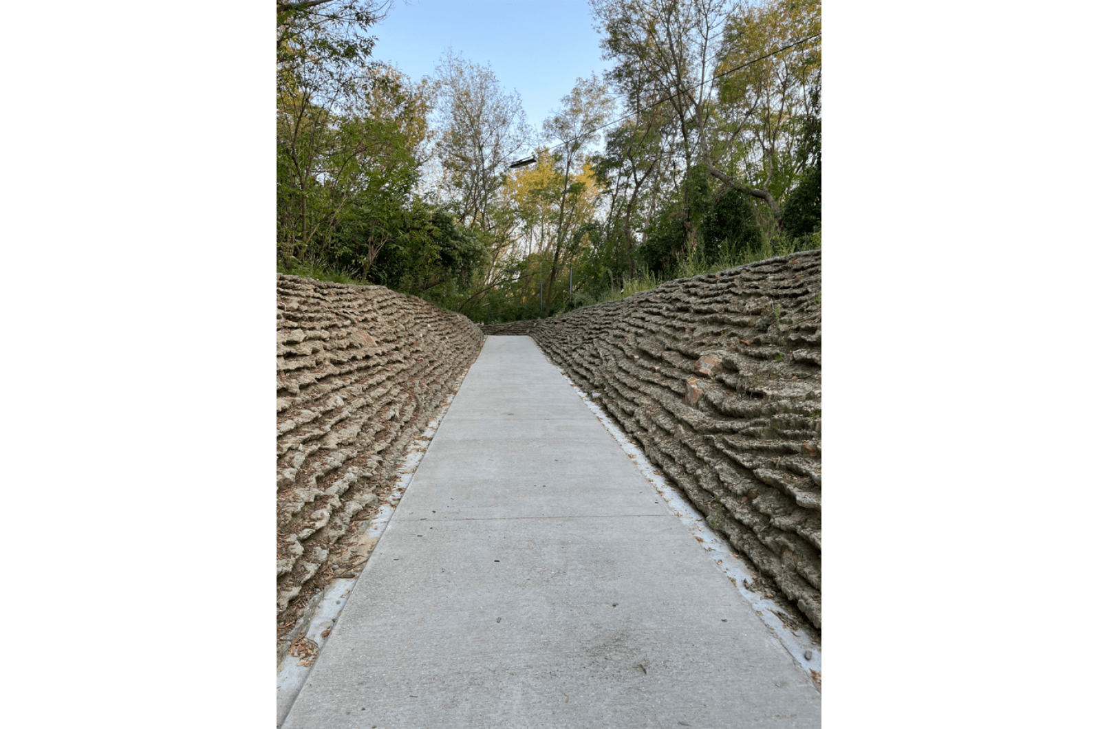 nagroda-park-04